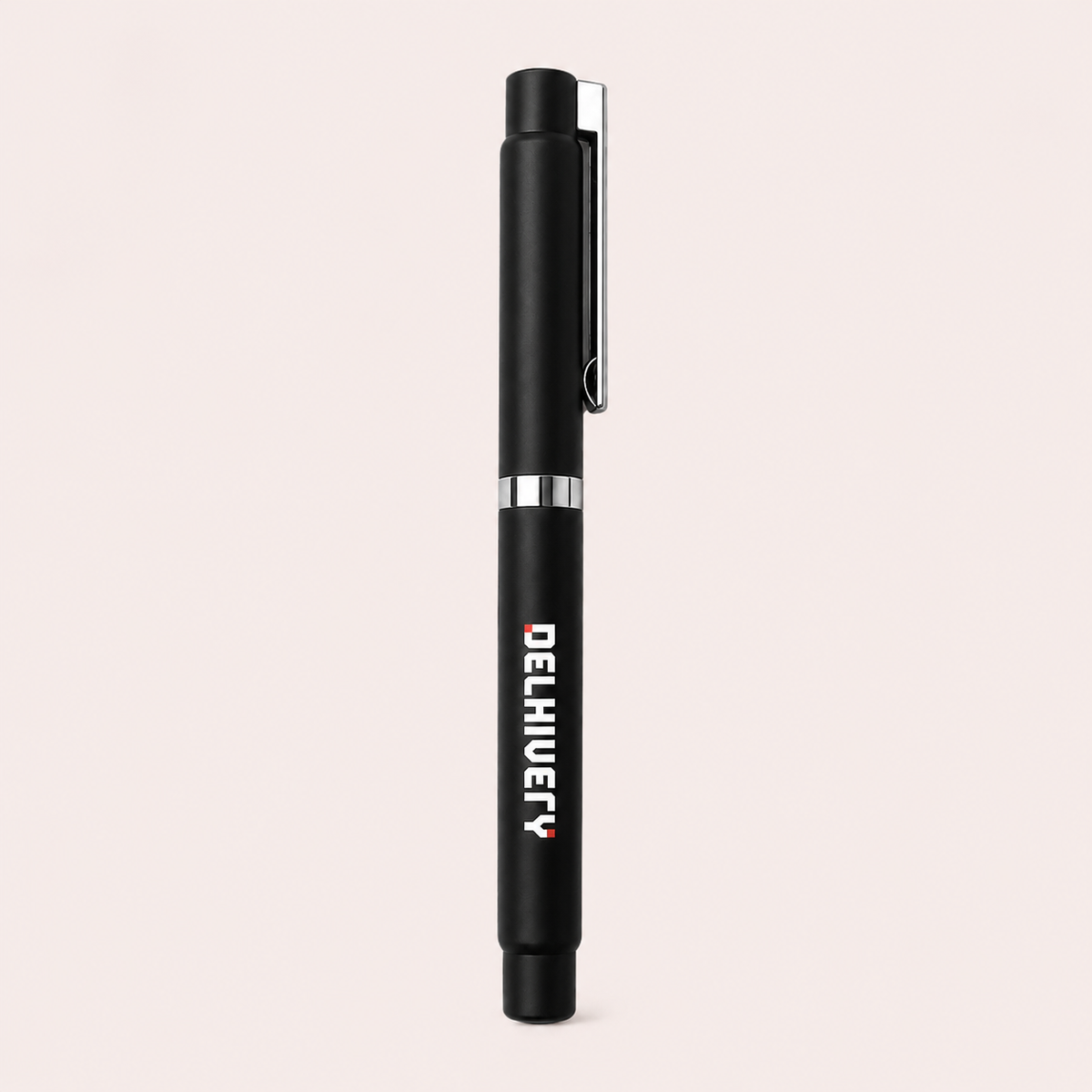 Delhivery Pen (Pack of 2)